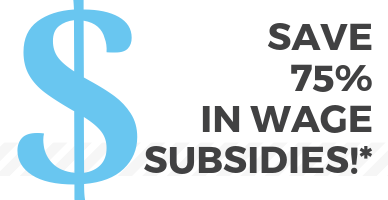 wage-subs.png
